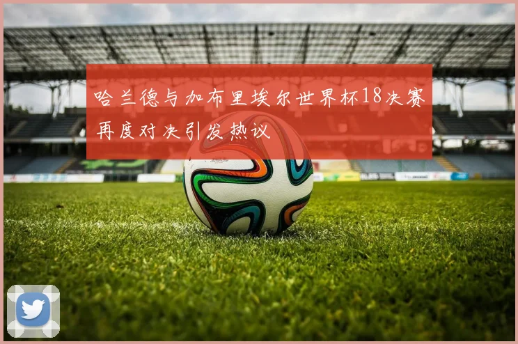 哈兰德与加布里埃尔世界杯18决赛再度对决引发热议