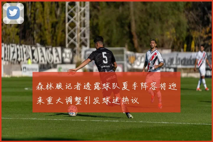 森林狼记者透露球队夏季阵容将迎来重大调整引发球迷热议